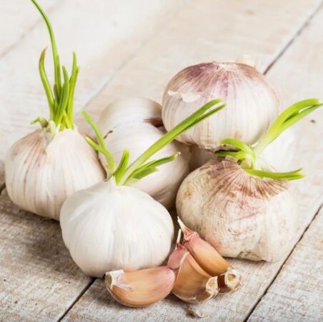 Knoflook